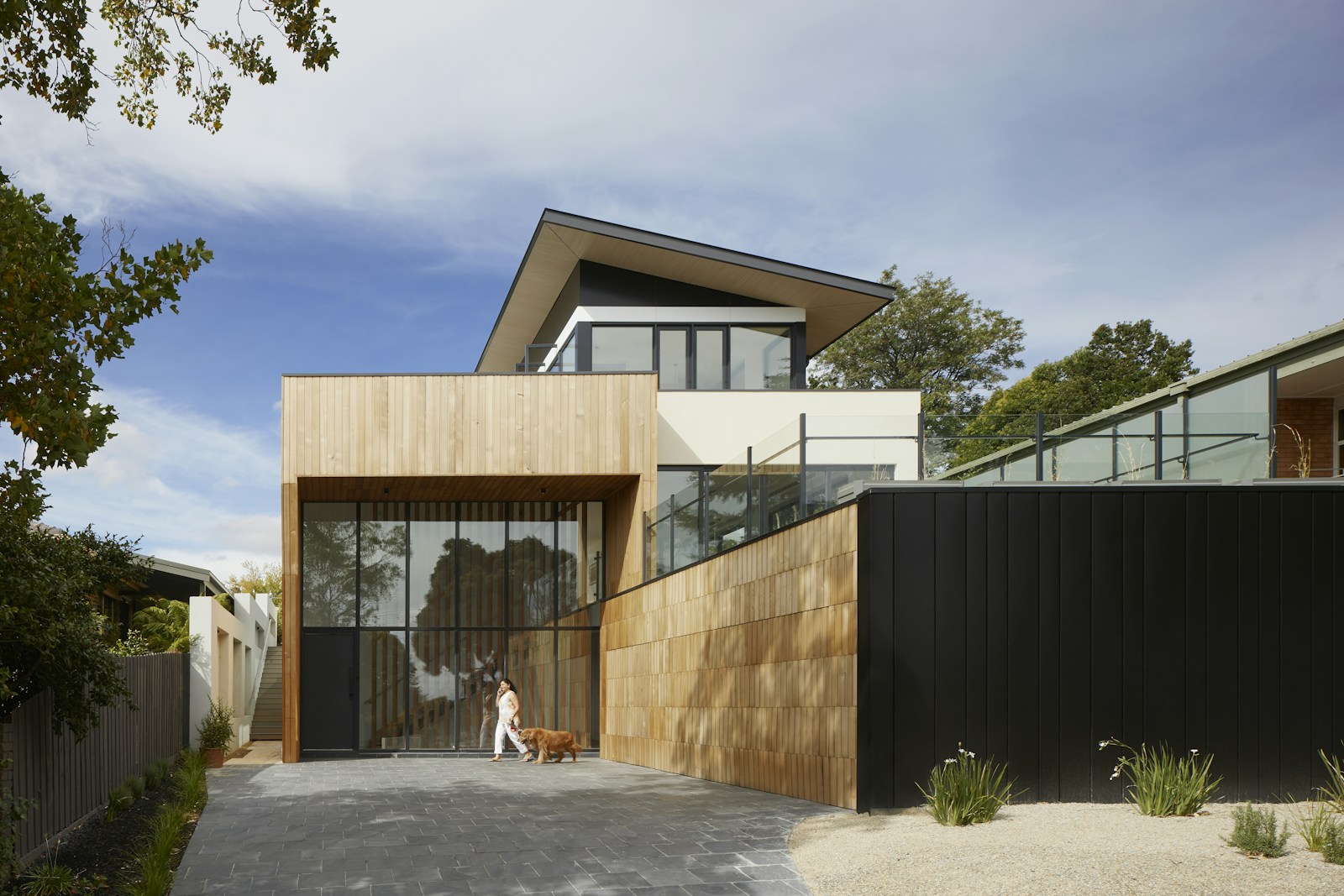 Modern house with timber cladding and generous windows
